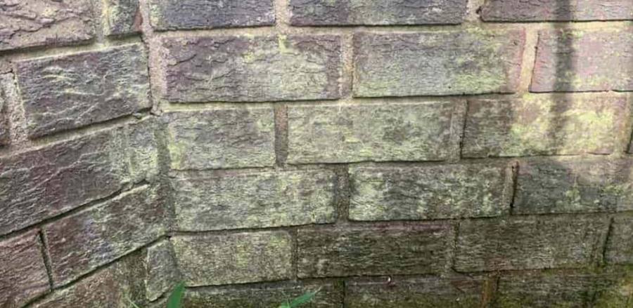 Brick home with green algae before soft washing in Mount Pleasant